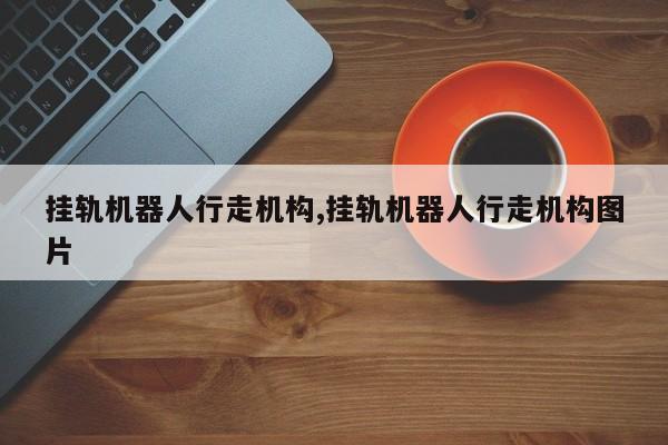 挂轨机器人行走机构,挂轨机器人行走机构图片