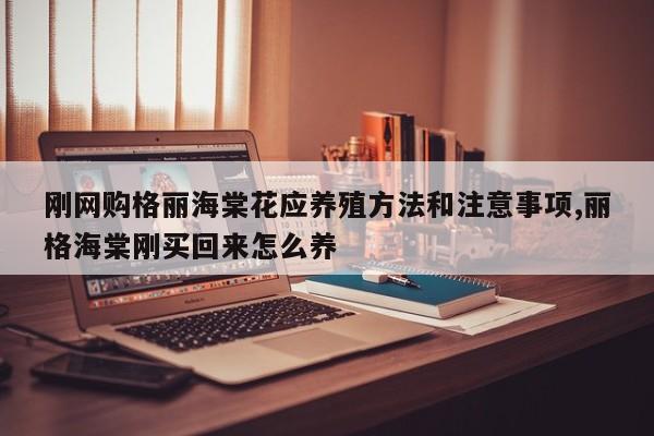 刚网购格丽海棠花应养殖方法和注意事项,丽格海棠刚买回来怎么养