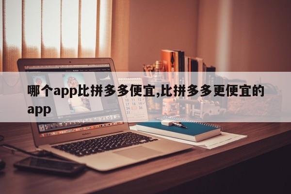 哪个app比拼多多便宜,比拼多多更便宜的app
