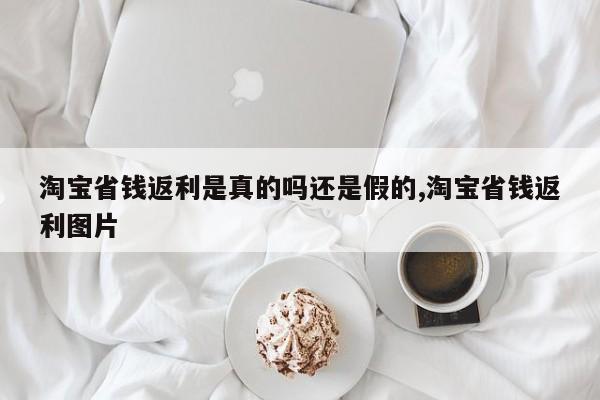 淘宝省钱返利是真的吗还是假的,淘宝省钱返利图片