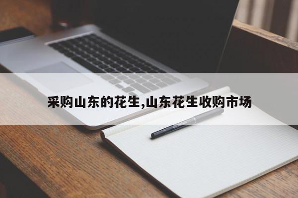 采购山东的花生,山东花生收购市场