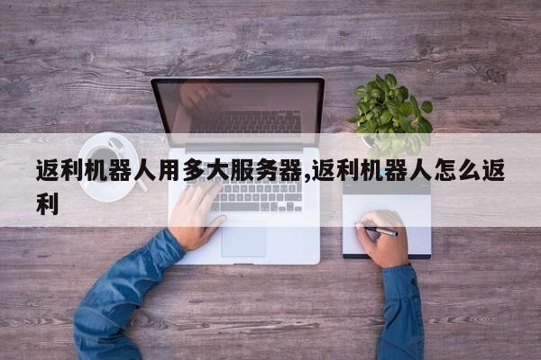返利机器人用多大服务器,返利机器人怎么返利