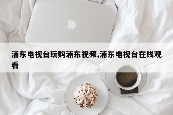 浦东电视台玩购浦东视频,浦东电视台在线观看