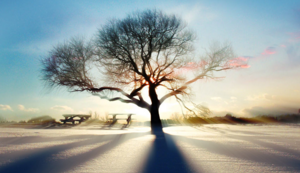 天天特价图片要求,天天特价在哪里展示