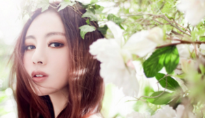 淘宝没有淘抢购,手机淘宝怎么没有淘抢购的页面了